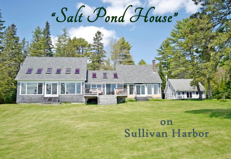 cover-salt-pond-house
